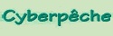 Cyberpeche